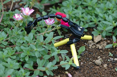 �t�����[�X�^���h