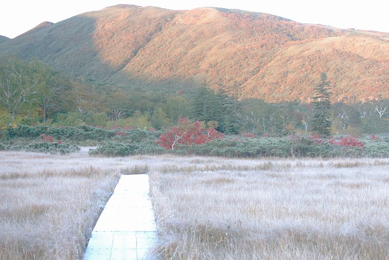 05:54�ؓ��͑��Ńc���c��