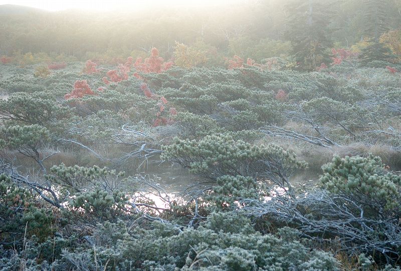 06:02���n�ɒ��������˂��Ă��ꂢ