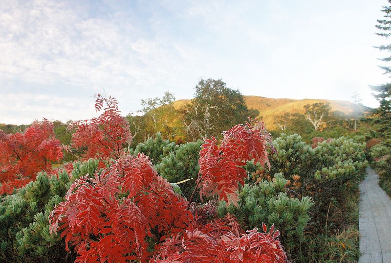 06:02���s������I�������Y�ɕt���Ă��܂���