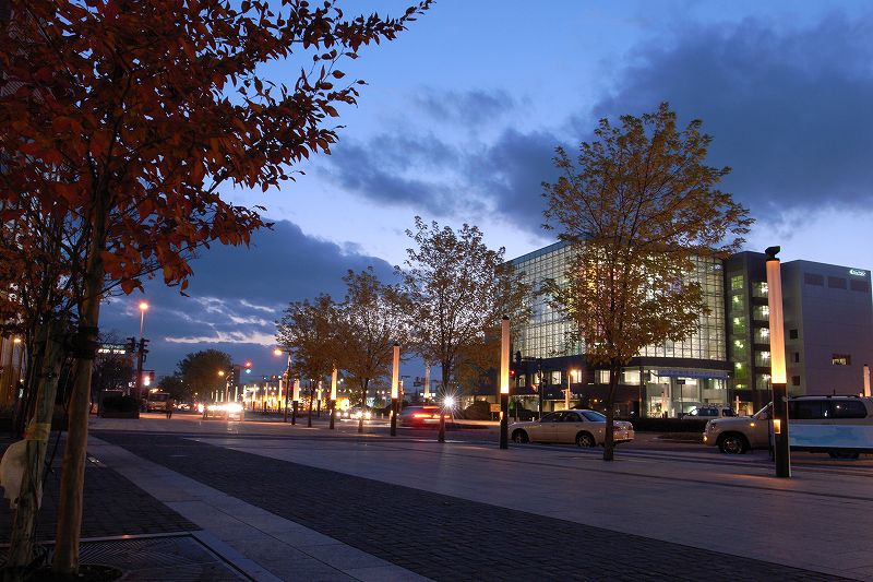 �L�X�����эL�w