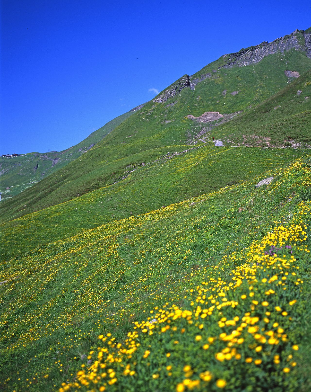 ミューレンのレストラン