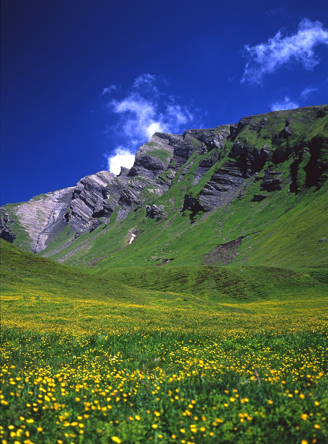 クローゼシャイデック