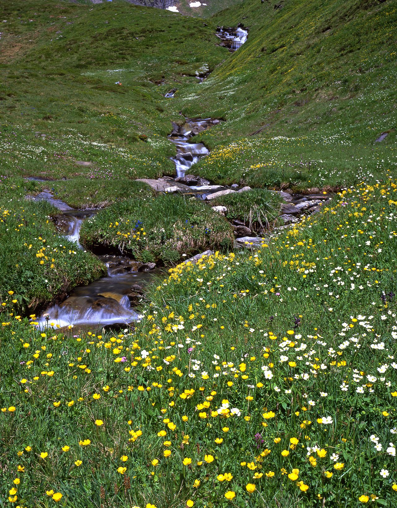 クローゼシャイデック