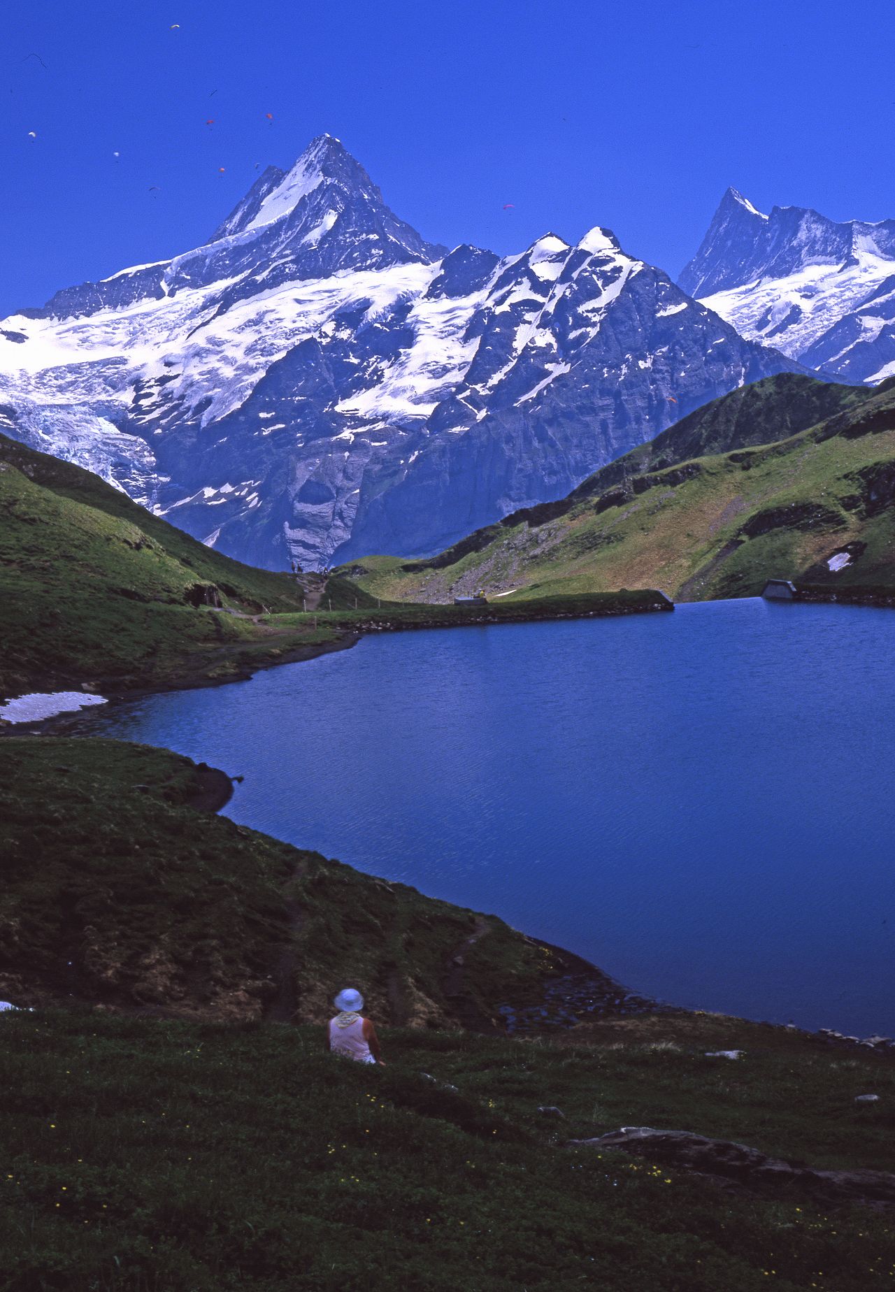 バッハアルプゼー