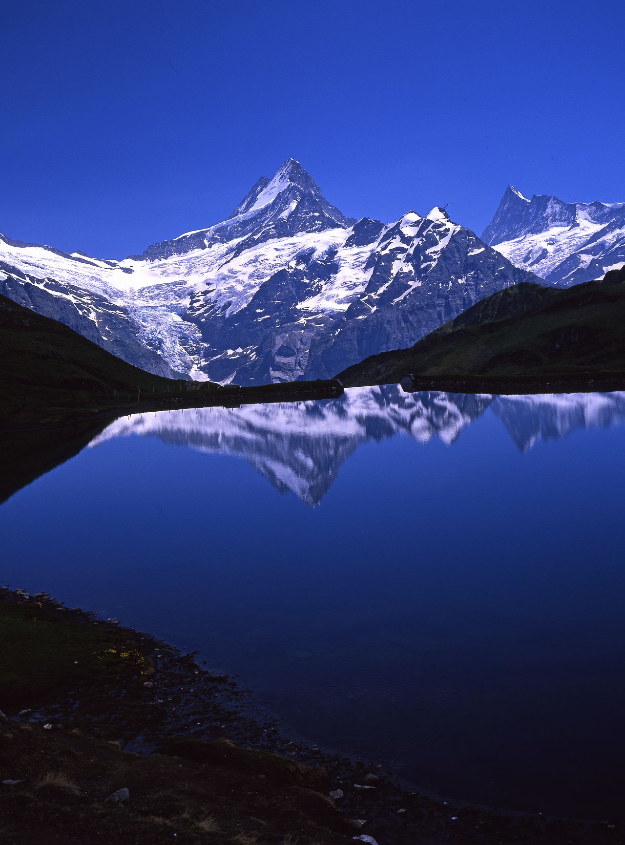 バッハアルプゼー