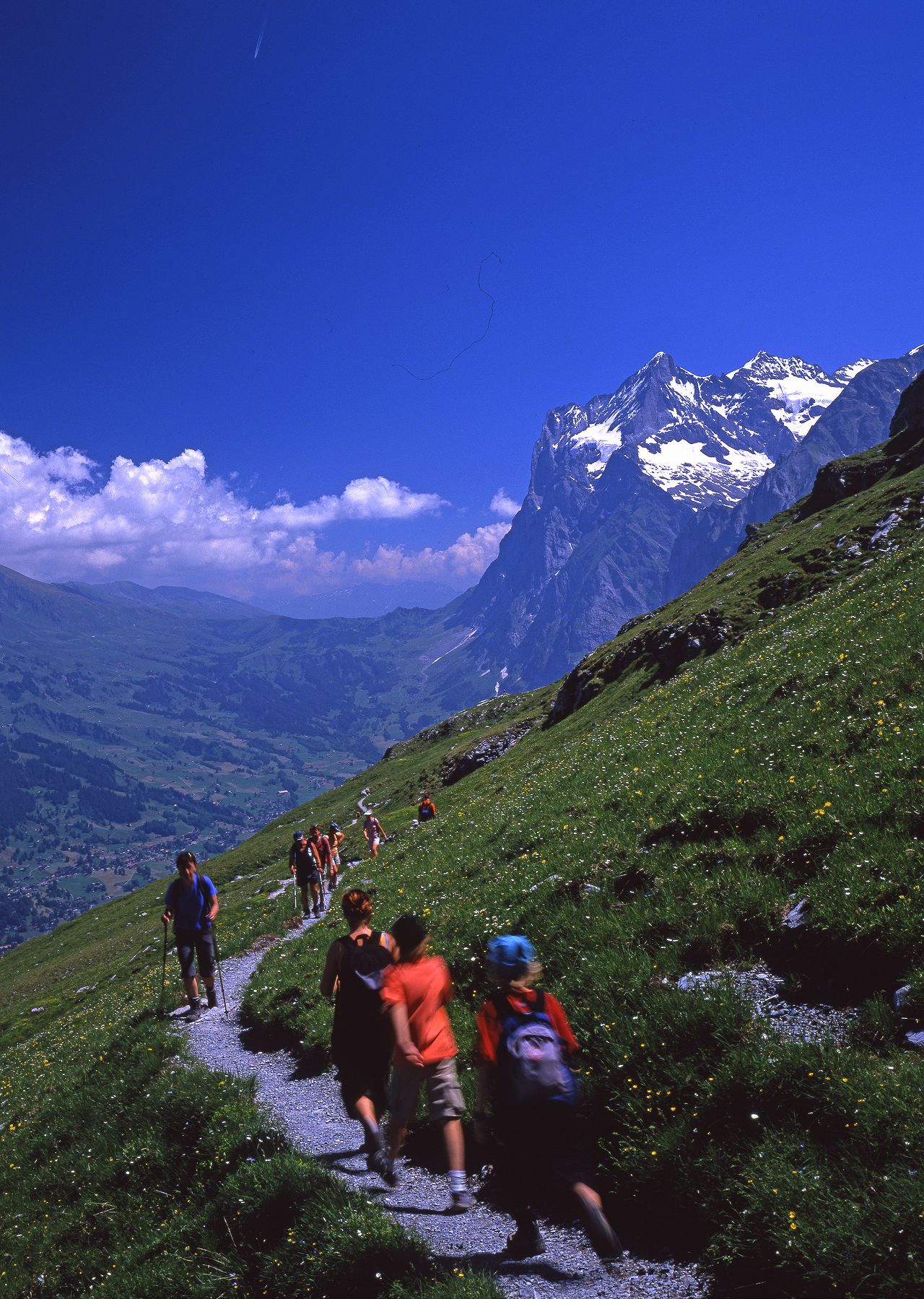 ベッターホルンとグリンデルワルト