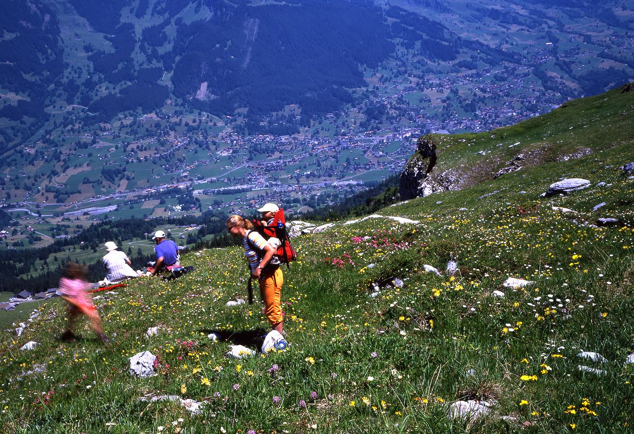 グリンデルワルトの村