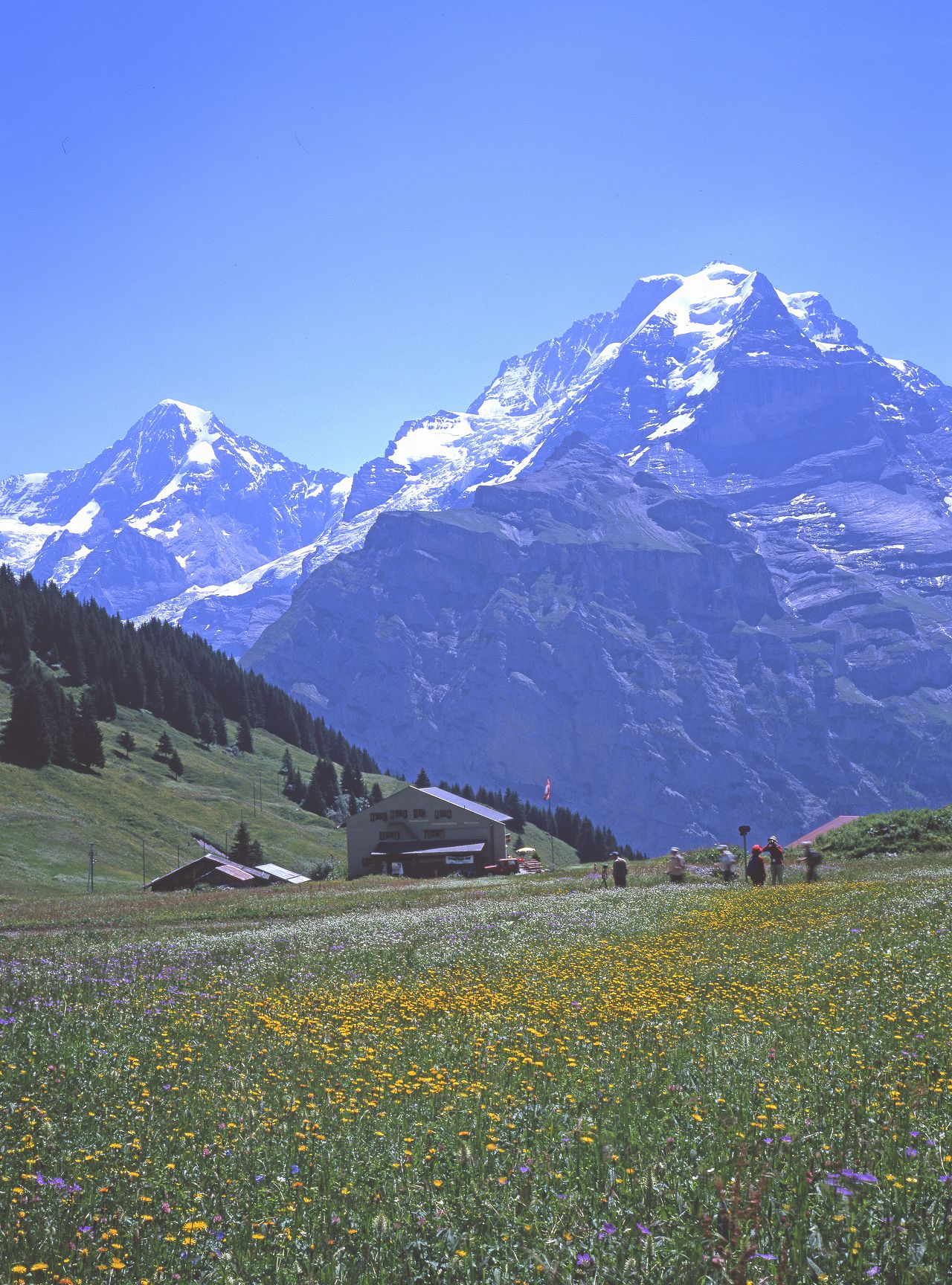 ブルーメンタール